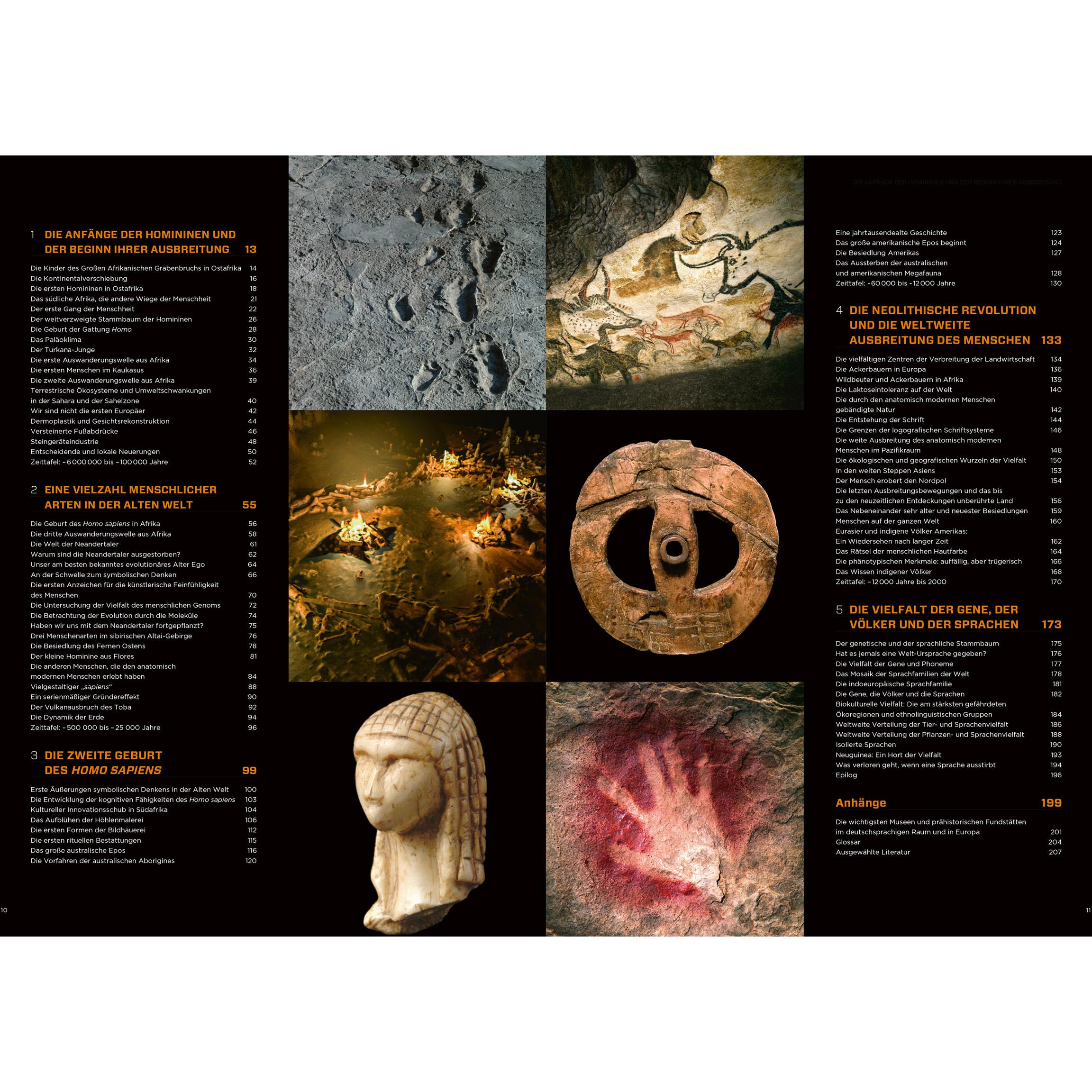 Thumbnail - Pievani:Homo sapiens, Sachbücher von Valéry Zeitoun, Telmo Pievani