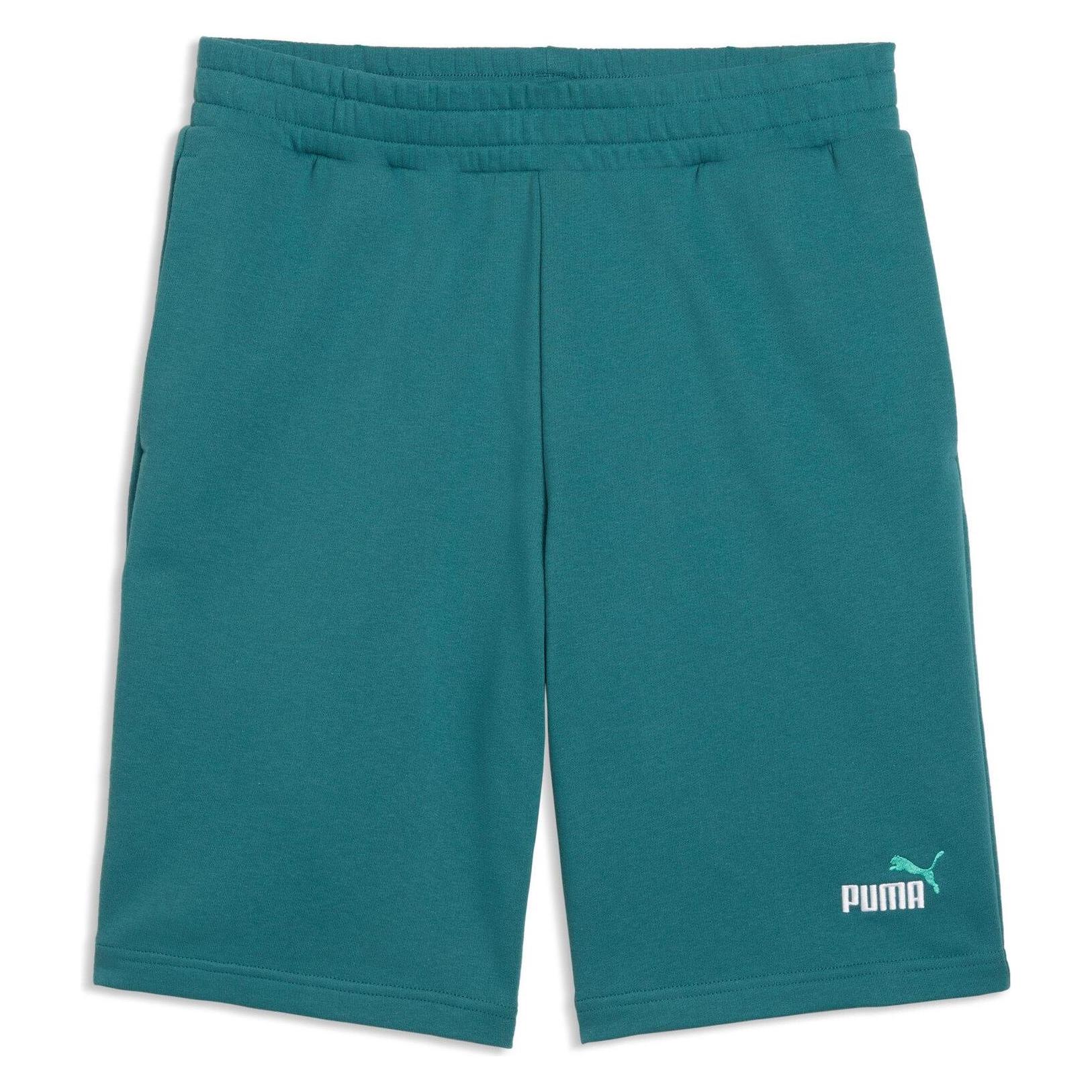 Puma, Mannen, Sportbroek, Ess 2 Color No. 1 Logo Shorts 10" Tr (Xxl)