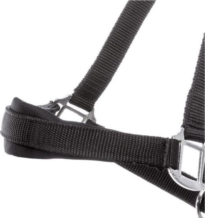 Produktbild Kavalkade Perlon Classic-Simple