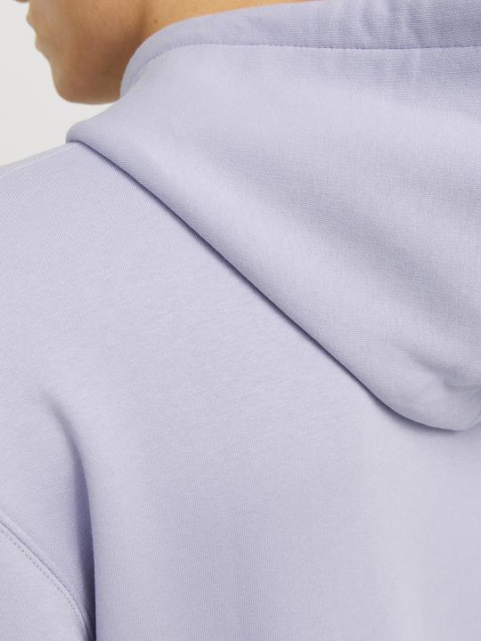 Produktbild Jack & Jones Jjestar Basic Sweat Hood Noos (L)