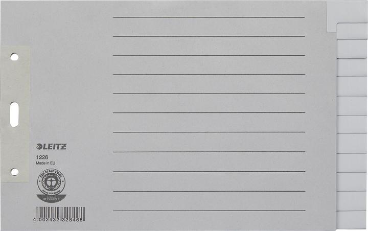 Leitz Register Papier