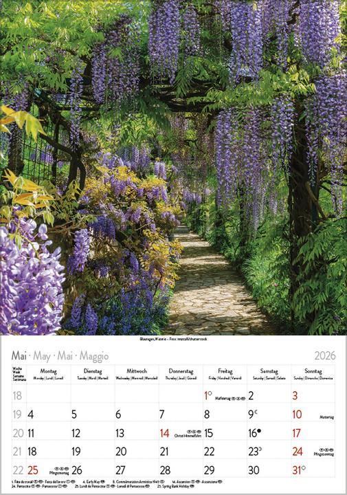 Produktbild Bltenzauber 2026