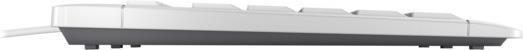 Productafbeelding CHERRY TAS STREAM KEYBOARD TKL bedraad DE-Layout grijs (DE, Bedraad)