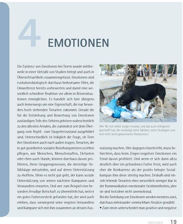 Produktbild Mein Hund hat Angst (Deutsch, Udo Ganslosser, Petra Krivy, 2024)