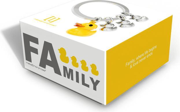 Image du produit Metalmorphose Famille de canards