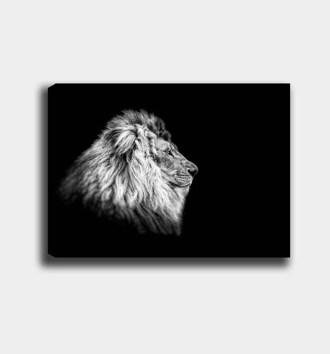 Produktbild Wallxpert Dalia (50 x 70 cm)