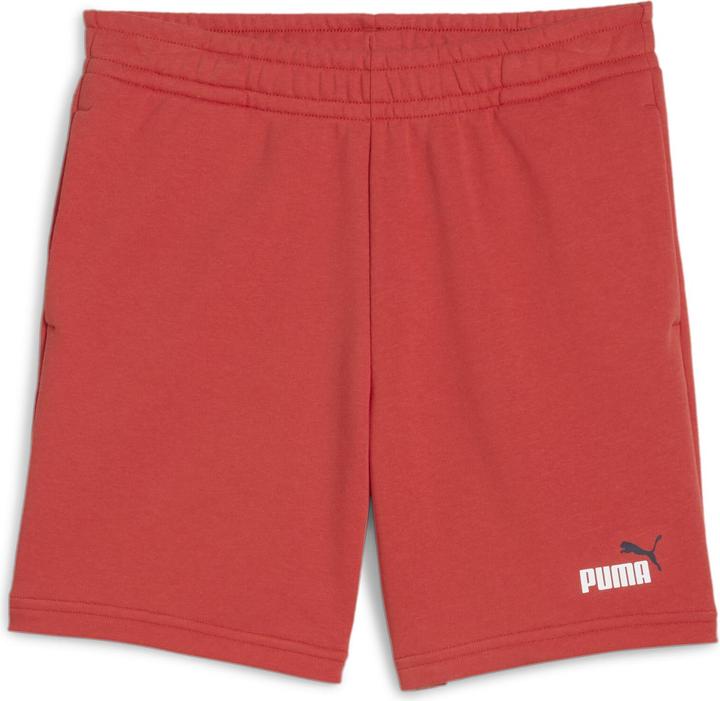 Actual product image Puma ESS 2 COLOR No. 1 Logo Shorts TR B (176)