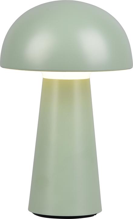 Pistachios green