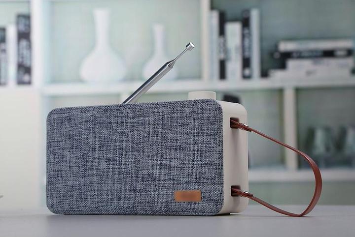 Actual product image Sayva noose Speaker (DAB+, FM, Bluetooth)