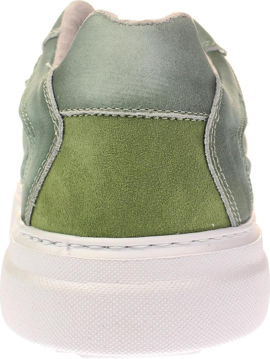 Image du produit Coxx Bobra Mrochedo (42)