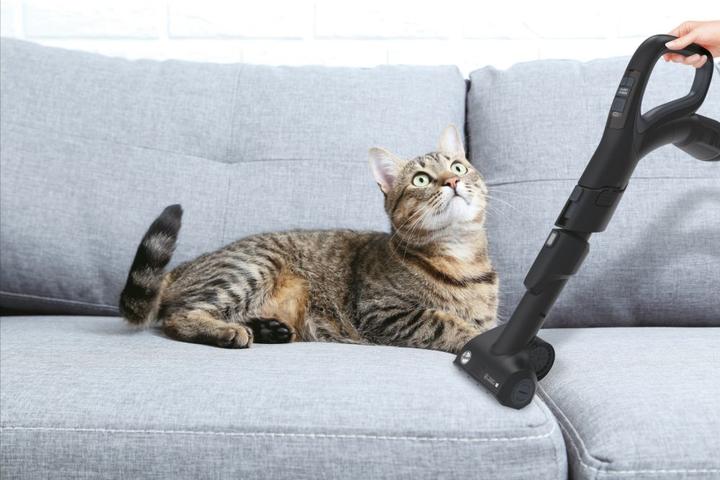 Produktbild Hoover HP730ALG 011