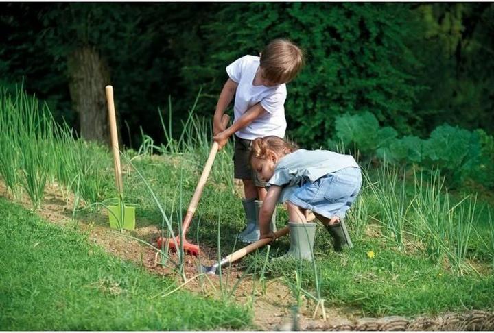 Image du produit Ecoiffier Outils de jardinage en métal avec manche en bois, 3 pcs.