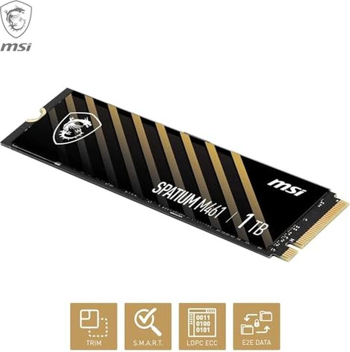 Image du produit MSI Spatium M461 (1000 Go, M.2)
