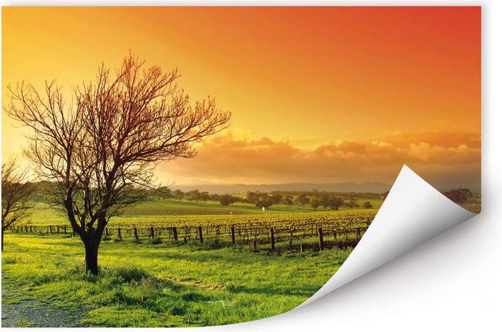 Produktbild Trenddeko Weinlandschaft (45 x 27 cm)