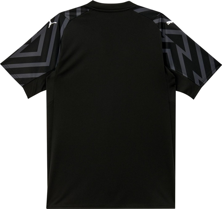 Productafbeelding Puma SFV GK Trui SS Replica (S)