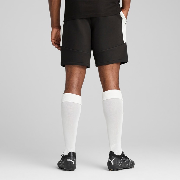 Actual product image Puma teamEVOSTRIPE Shorts (3XL)