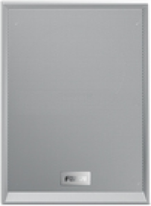 Actual product image Fanvil A212 Wall speaker white