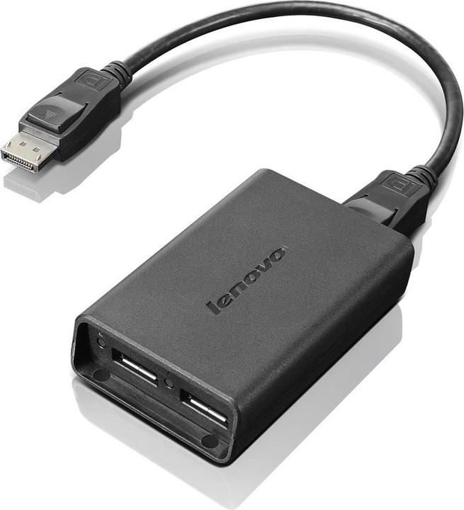 Produktbild Lenovo DisplayPort zu (USB-A, 20 cm)