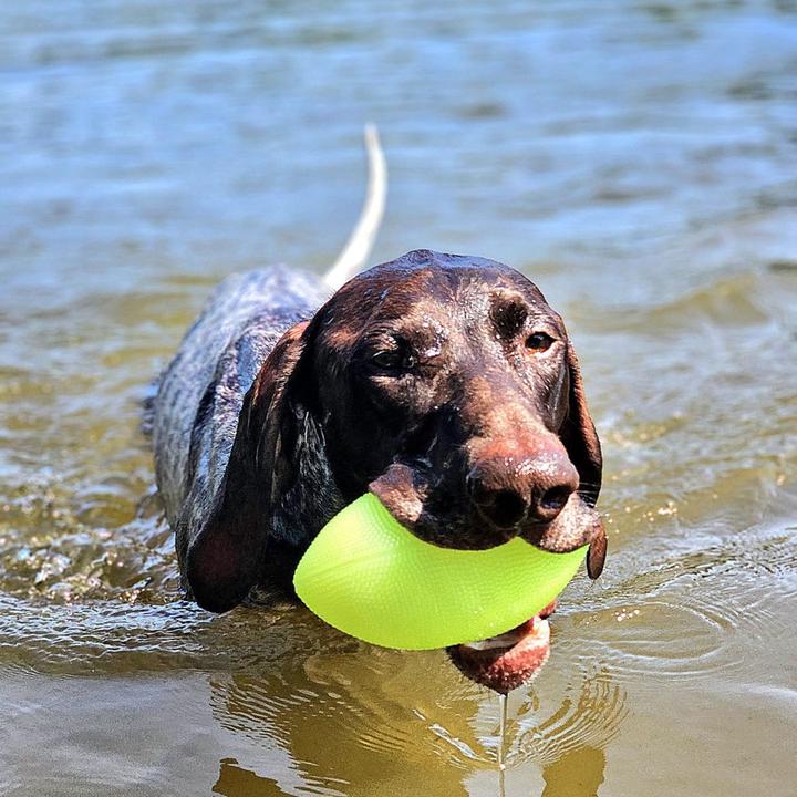 Actual product image Red Dingo Gone Dog toy - Play & Glow 14x8cm football (Ball toy dog)