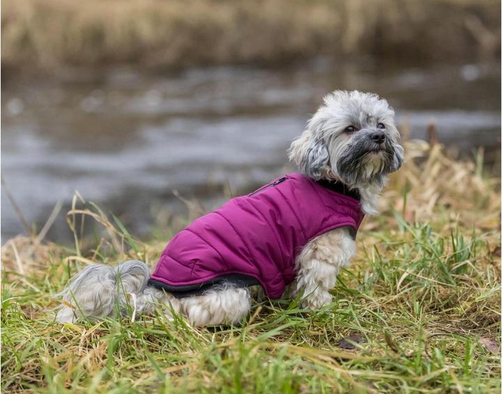 Actual product image Trixie Coat Arlay XXS, 18 cm, Berry (XXS, Dog coat)