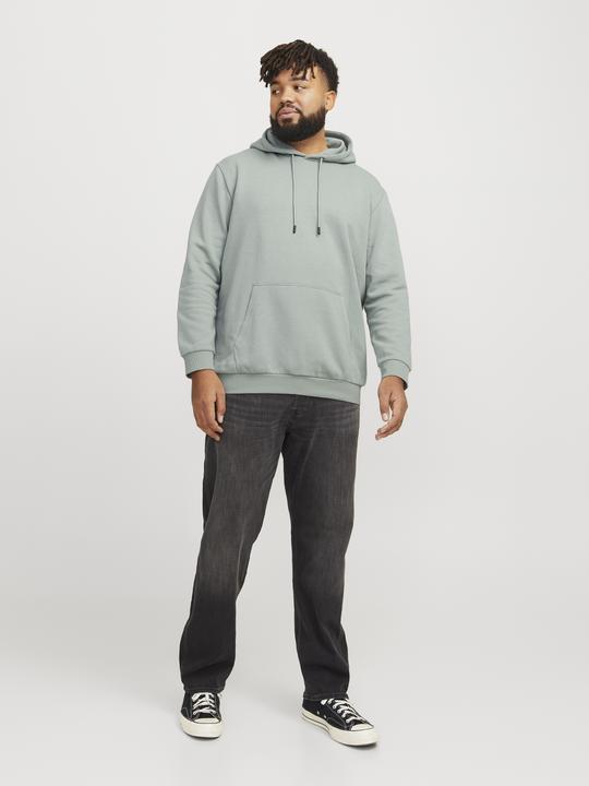 Produktbild Jack & Jones Jjebradley Sweat Hood Noos Pls (4XL)