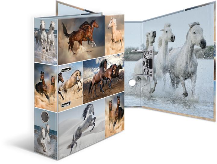 Image du produit HERMA Dossier A4 Motif (A4, 70 mm, 1 pcs)