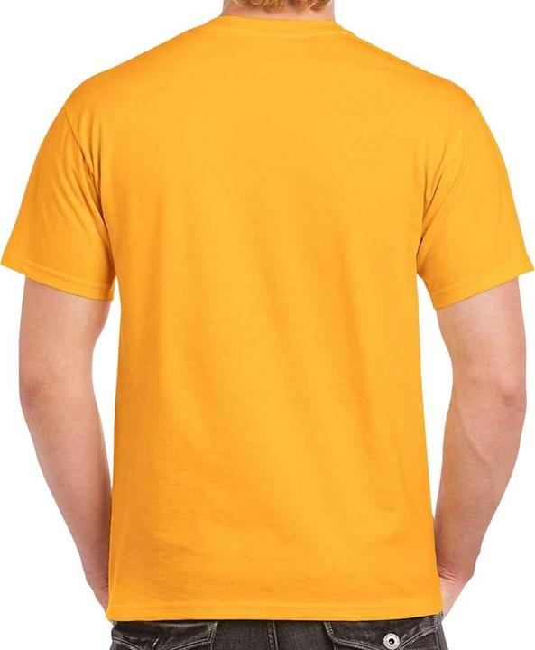 Actual product image Gildan Mens Heavy Cotton T-Shirt (4XL)