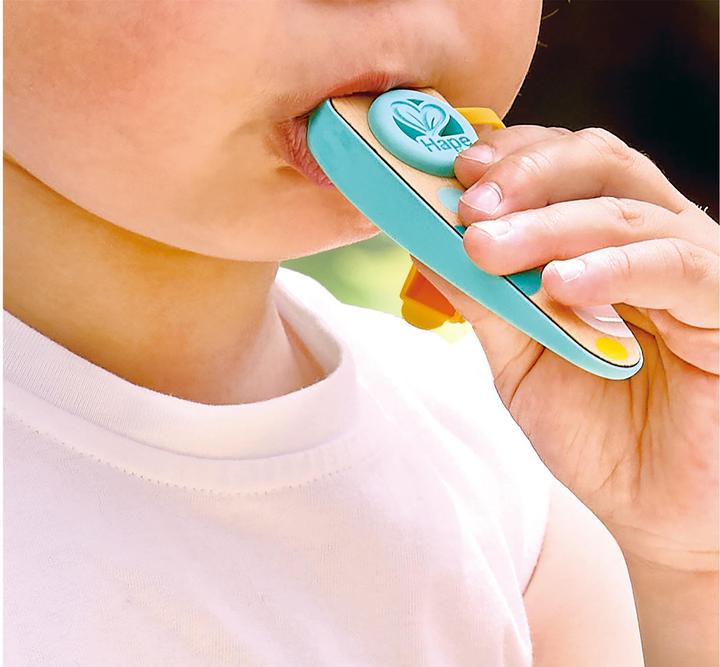 Immagine prodotto Hape Kinder-Kazoo