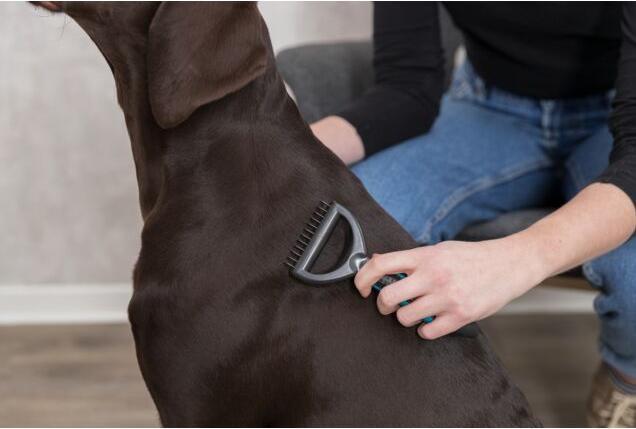 Actual product image Trixie Fur de-felter (Dog)