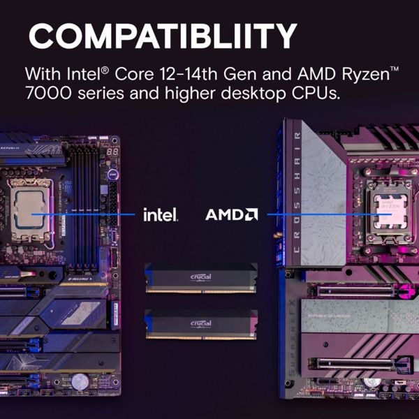 Actual product image Crucial Pro Overclocking (1 x 16GB, 6000 MHz, DDR5 RAM, U-DIMM)
