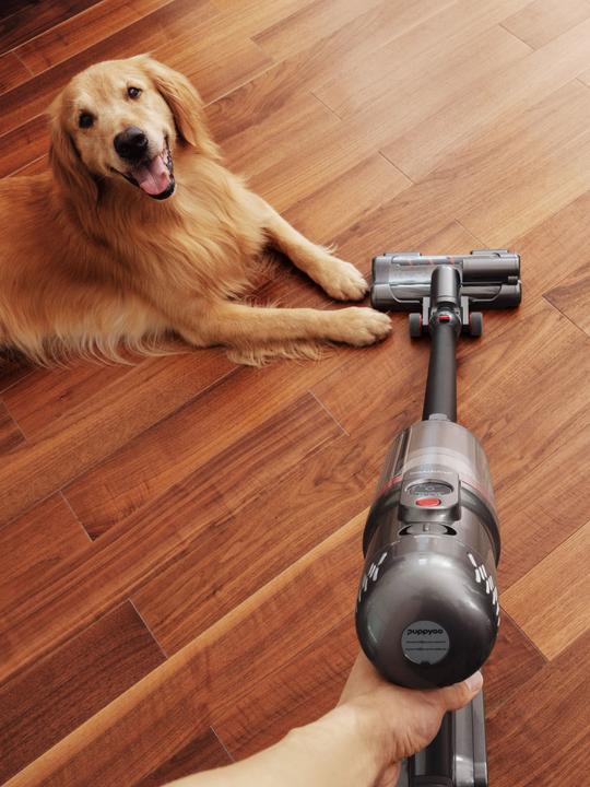 Produktbild Puppyoo T12 Mate