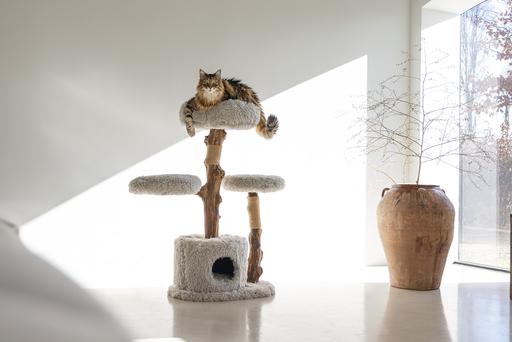 Actual product image Designed by Lotte Ziza (100 cm, Grey)