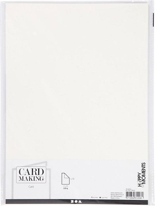 Image du produit Creativ Company Carton photo (220 g/m², 10 x)