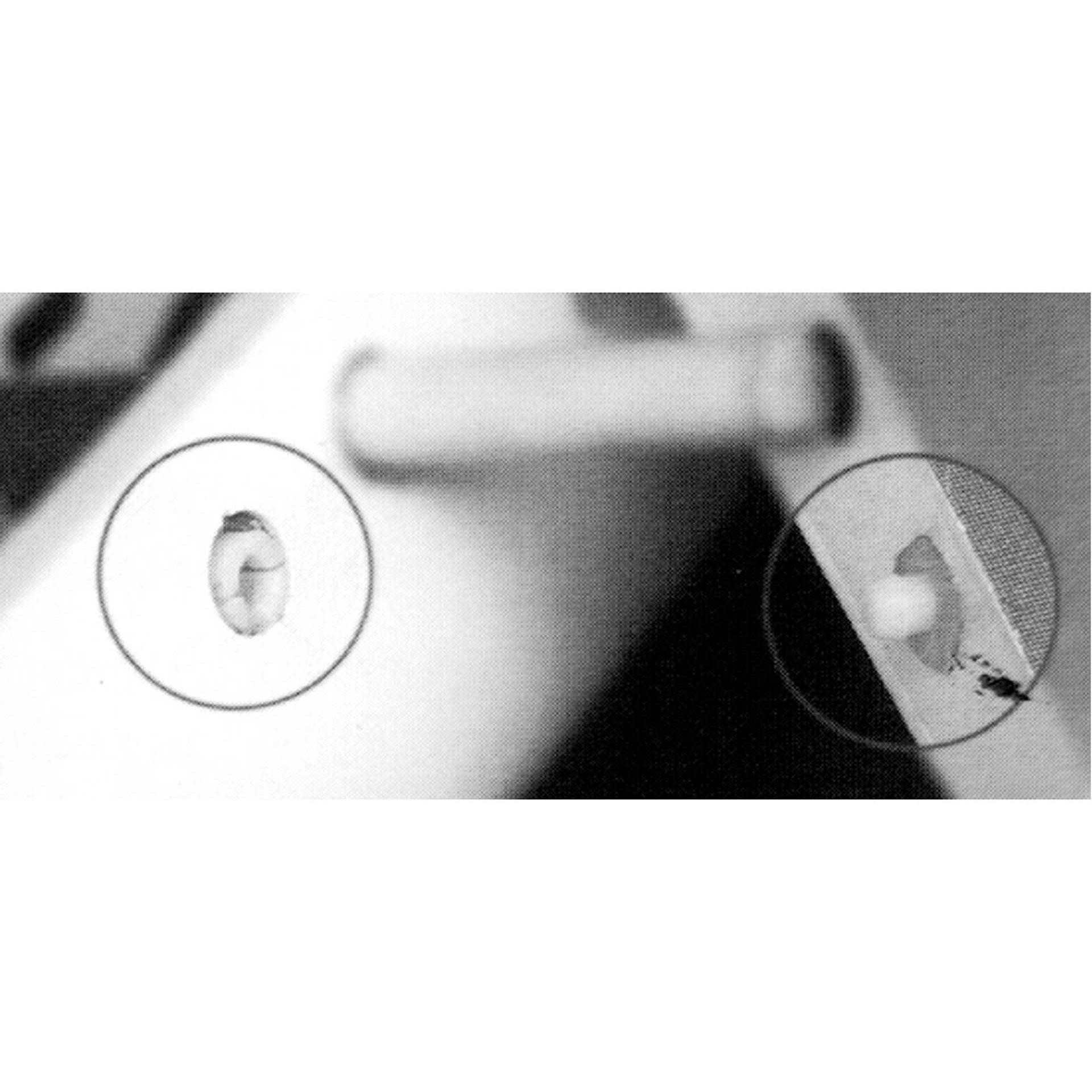 Thumbnail - Extron Modellbau Flügel Loc