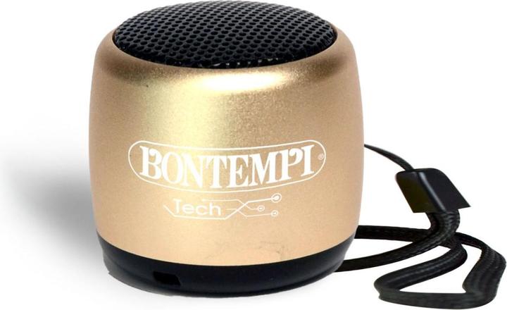 Immagine prodotto Bontempi Wireless Tierlautsprecher ass.