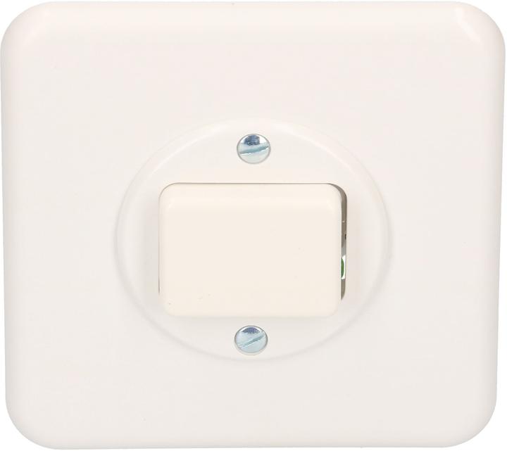 Immagine prodotto Mica Standard Drucktaster