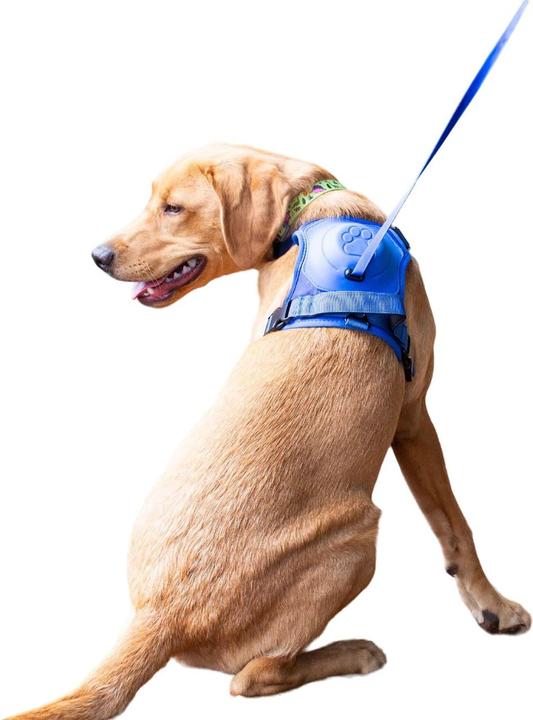 Actual product image Ancol Extreme Hybrid Dog Harness And Lead Set (M, Dog, General)