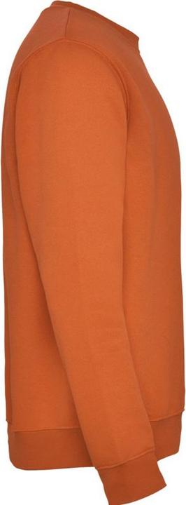 Produktbild Alpinia Clasica Sweatshirt Rundhalsausschnitt (128)