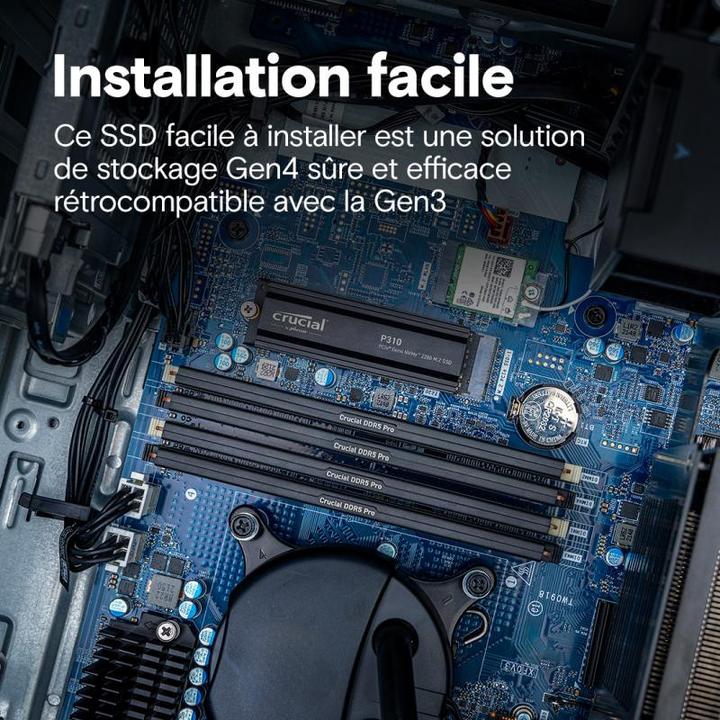 Actual product image Crucial P310 mit Heatsink (2000 GB, M.2, M.2 2280)