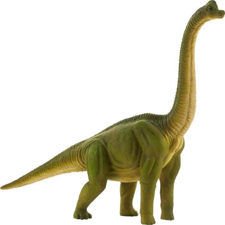 Animal Planet Brachiosaurs