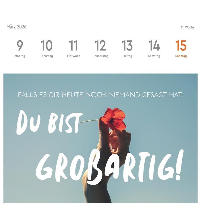 Produktbild Visual Statements Premium-Postkartenkalender 2026 (16.5 x 17.7 cm)