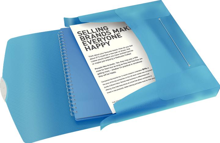 Actual product image Esselte Vivida (A4, 1 x)