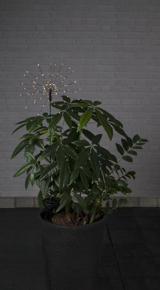 Image du produit Star Trading Firework (IP44)