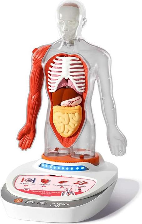 Actual product image Science Can My Body - a knowledge journey with quiz and sound/ My Body Voice Pedia (German, Dutch, English, Italian, French, Spanish)