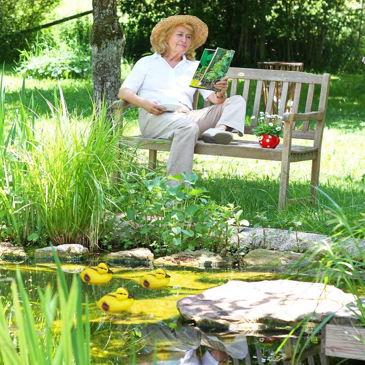 Produktbild Relaxdays Teichente