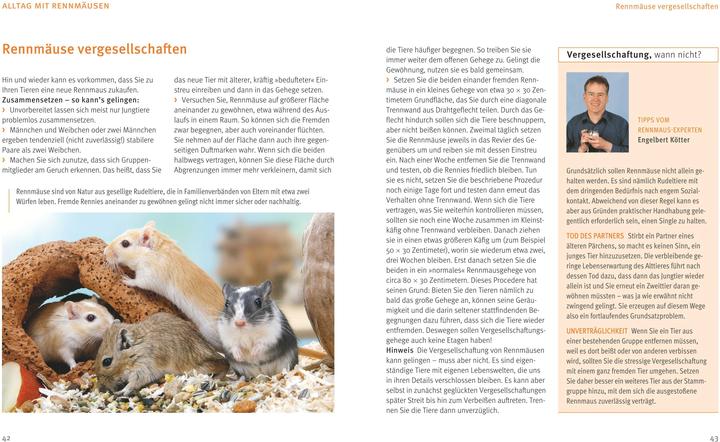 Actual product image Rennmäuse (German, Engelbert Kötter, 2015)