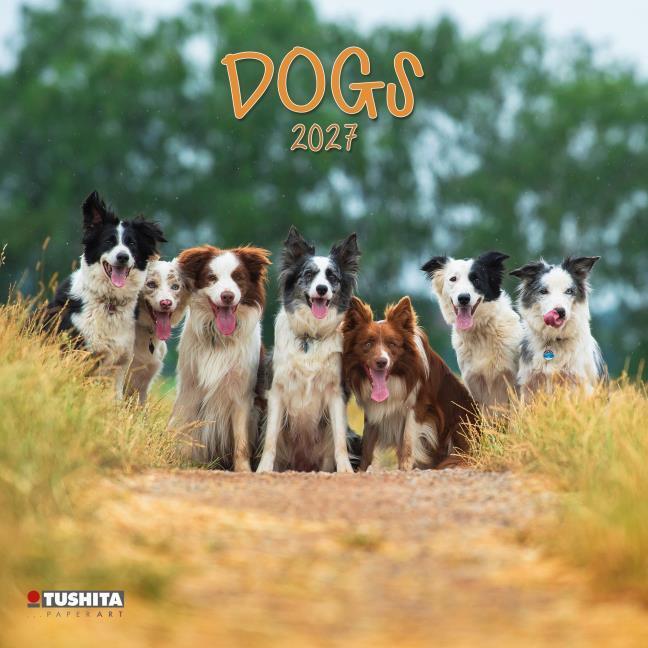 Produktbild Dogs2027