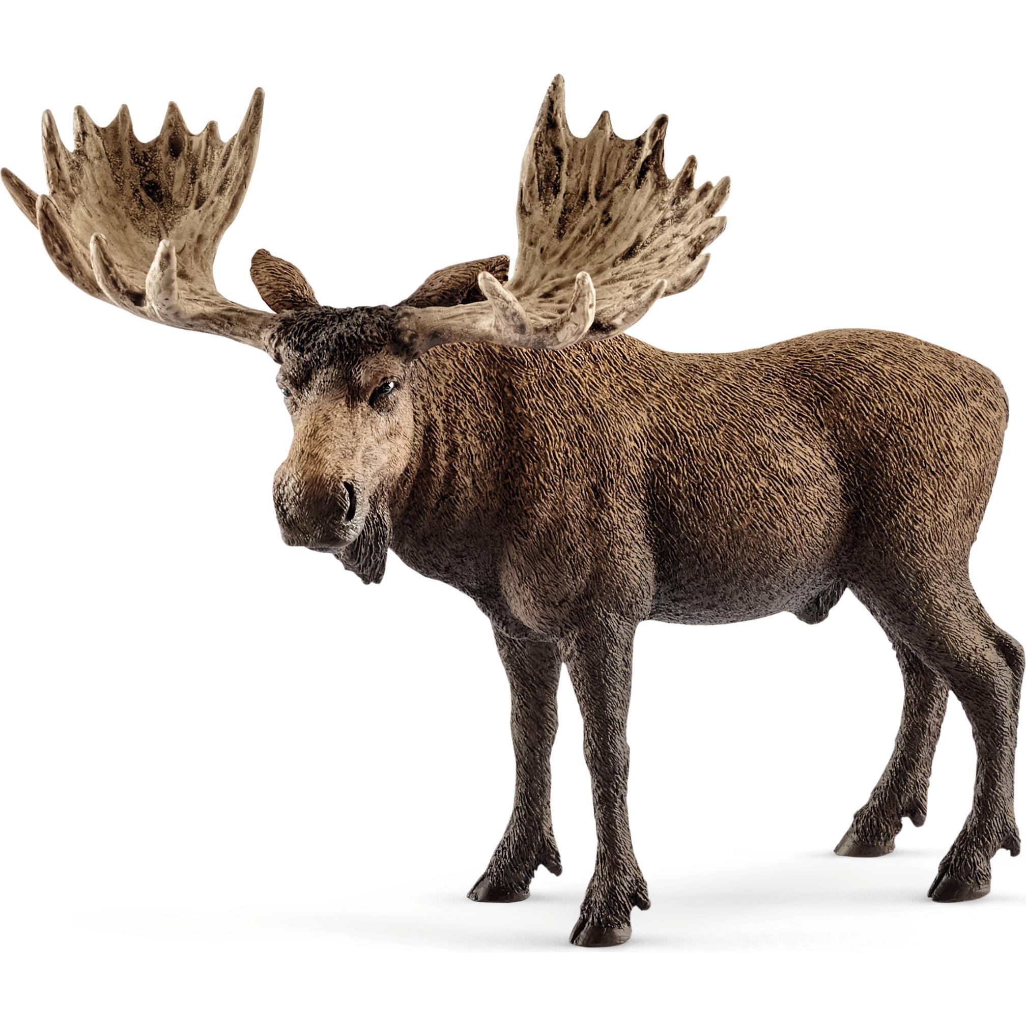 Schleich Elch Bull