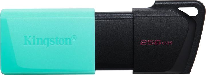 Actual product image Kingston DataTraveler Exodia M (256 GB, USB-A)