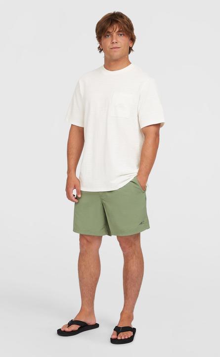 Image du produit O'Neill VERT 16" SWIMSHORTS (XXL)